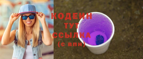 спайс Корсаков