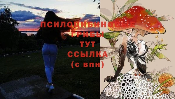 прущая мука Кодинск