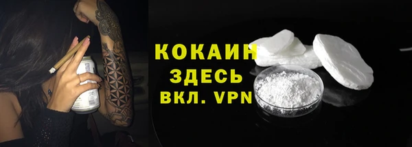 прущая мука Кодинск