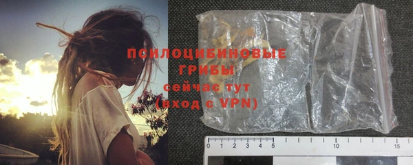 прущая мука Кодинск